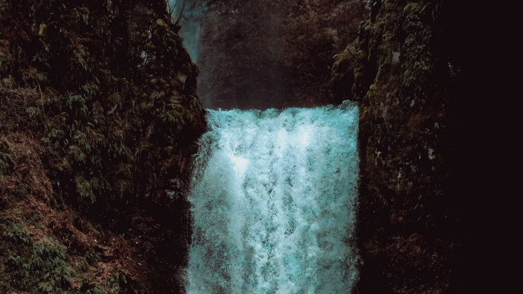 Previous