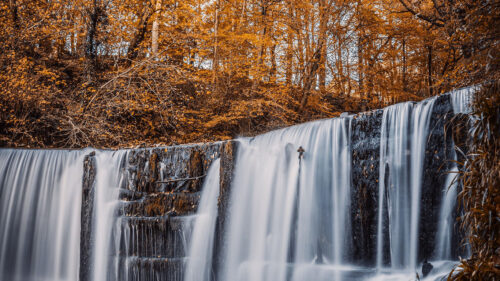 Waterfall, River, Trees Wallpapers Download