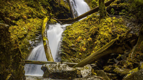 Waterfall, Rock, Trees Wallpapers Download