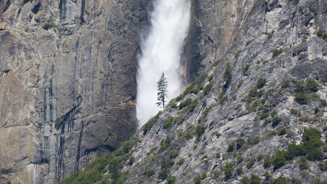 Waterfall, Tree, Rock Wallpapers Download