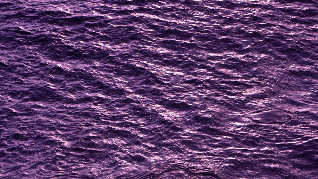 Previous