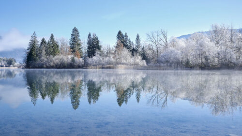 lake, Trees, Snow Wallpapers Free Download