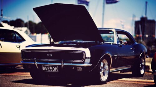 American, Cars, Muscle Stylish Wallpapers Free Download
