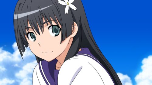 Anime, Girl, Brunette, Smile, Flower, Shape Wallpapers Free Download