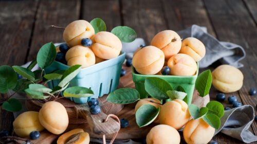 Apricots, Blue, Berries, Dishes, Fruit Wallpapers Free Download