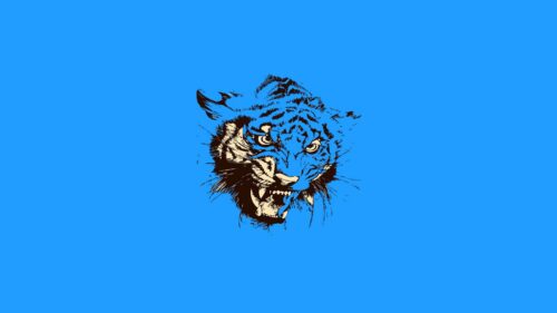Art, Vector, Minimalism HD Wallpapers Free Download
