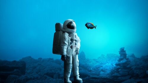 Astronaut, Underwater, Fish HD Wallpapers Free Download