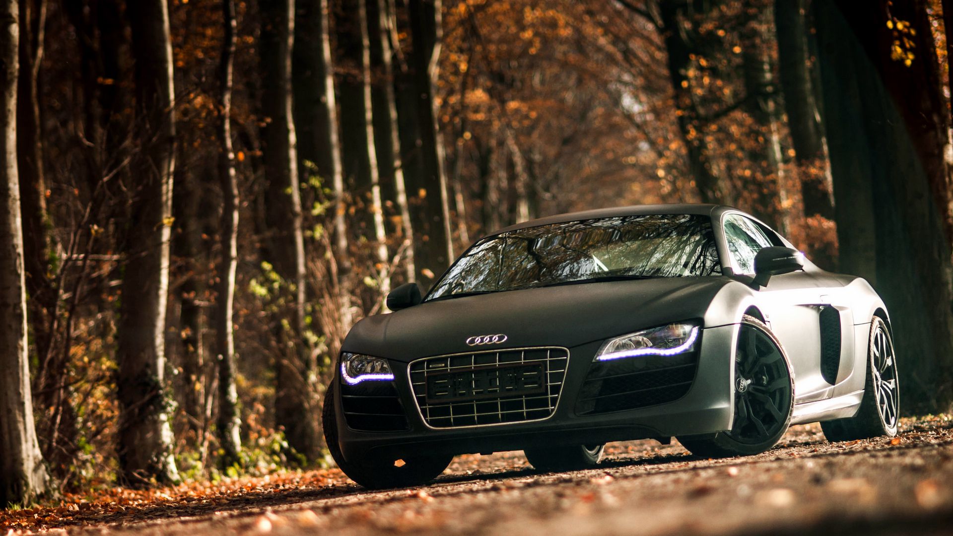 Audi R8, V10, Sports, Car HD Wallpapers Free Download - Desktop Wallpapers