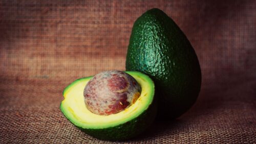 Avocado, Fruit, Stone HD Wallpapers Free Download