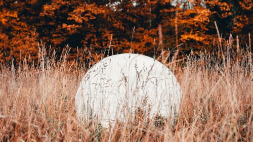 Ball White, Grass HD Wallpapers Free Download