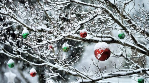 Balls, Twigs, New, Year, Snow HD Wallpapers Free Download