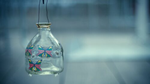 Bank, Patterns, Glass, Butterfly HD Wallpapers Free Download