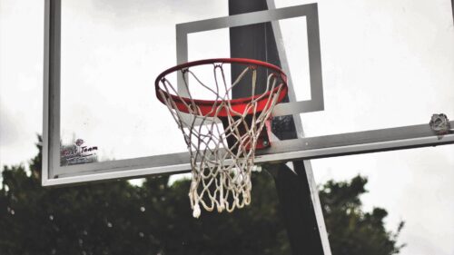 Basketball Shield, Basketball, Mesh Desktop Wallpapers Free Download