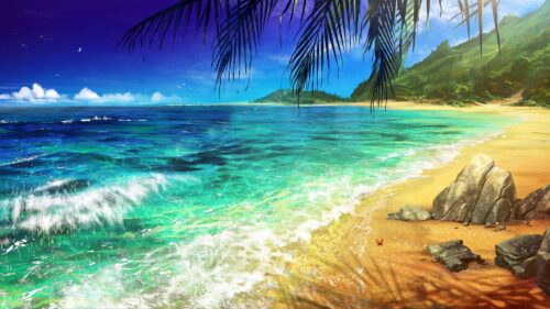 Beach, Palm, Ocean Desktop Wallpapers Free Download