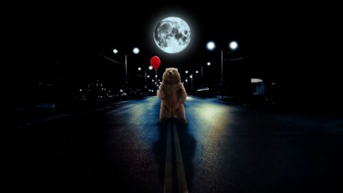 Bear, Balloon, Full, Moon Desktop Wallpapers Free Download