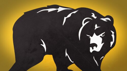 Bear, Drawing, Animal Desktop Wallpapers Free Download