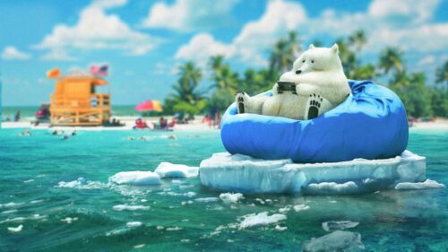 Bear, Phone, Ice Desktop Wallpapers Free Download