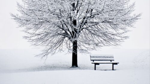 Bench, Snow, Winter Desktop Wallpapers Free Download