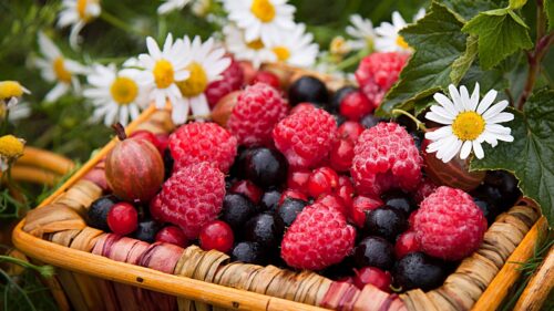 Berries, Raspberries, Gooseberries, Currants, Chamomile, Basket Desktop Wallpapers Free Download