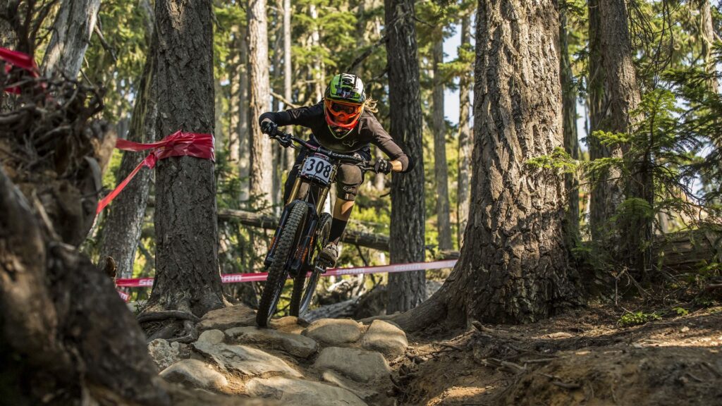 Previous