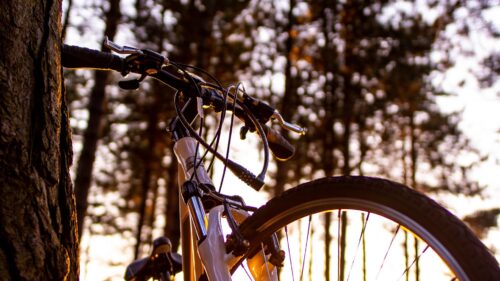 Bicycle, Sunlight, Summer Desktop Wallpapers Free Download
