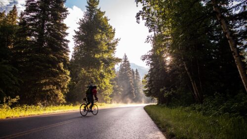 Bicycle, Tourist, Cyclist Desktop Wallpapers Free Download