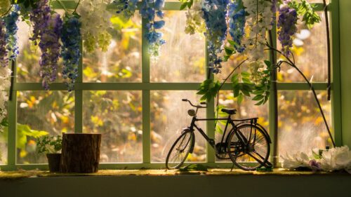 Bicycle, Window, Statuette Desktop Wallpapers Free Download