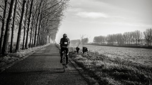 Bicyclist, Bw, Trees Desktop Wallpapers Free Download