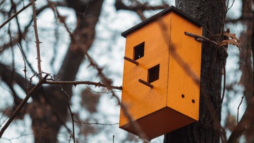 Birdhouse, Wood, Brown Desktop Wallpapers Free Download