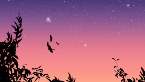 Birds, Flight, Stars Desktop Wallpapers Free Download