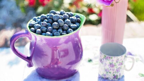 Blueberries, Pitcher, Cup Wallpapers Download