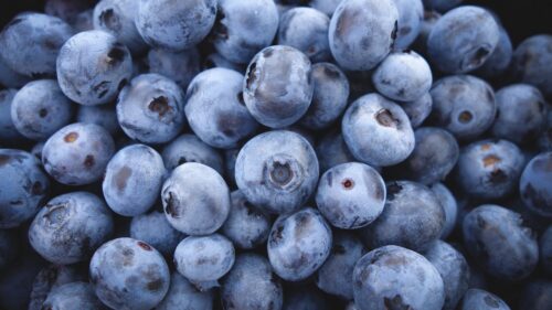 Blueberry, Berry, Ripe Wallpapers Download