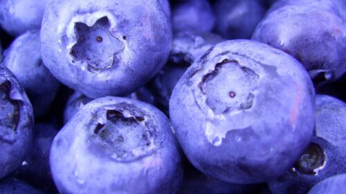 Blueberry, Berry, Sweet Wallpapers Download