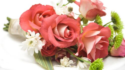Bouquet, Composition, Beautiful, Roses, Flowers HD Wallpapers Download