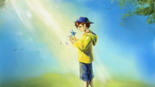 Boy, Bird, Care HD Wallpapers Download