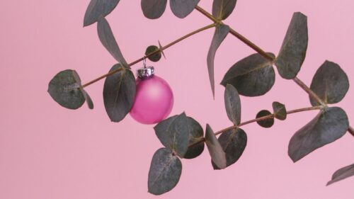Branch, Ball, Decoration HD Wallpapers Download