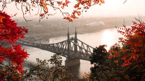 Bridge, Autumn, City HD Wallpapers Download