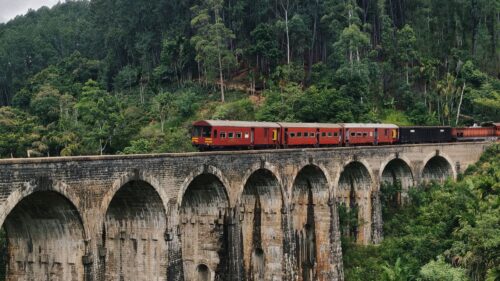 Bridge, Train, Nature HD Wallpapers Download