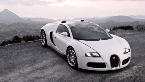 Bugatti Veyron, Cars, Sport, Cars, White HD Wallpapers Download