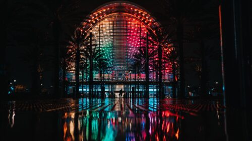 Building, Palm, Trees, Dark Free Wallpapers