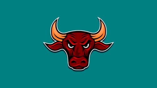 Bull, Angry, Horns Free Wallpapers