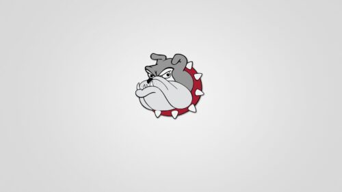 Bulldog, Face, Figure Free Wallpapers