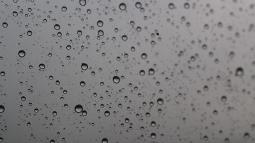 Bw, Drops, Glass Free Wallpapers