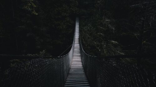 Cable Bridge, Bridge, Forest Free Wallpapers