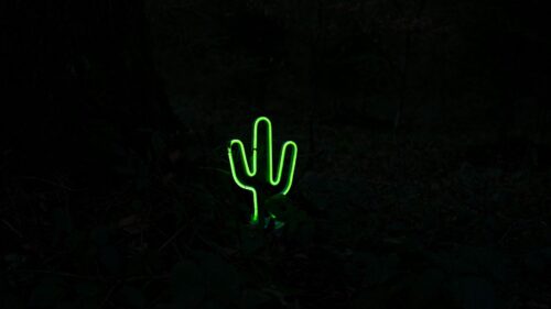 Cactus, Neon, Dark Free Wallpapers