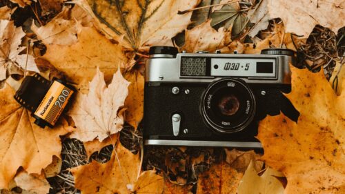 Camera, Autumn, Foliage Wallpapers Download