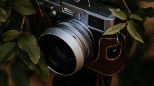 Camera, Branch, Leaves Wallpapers Download