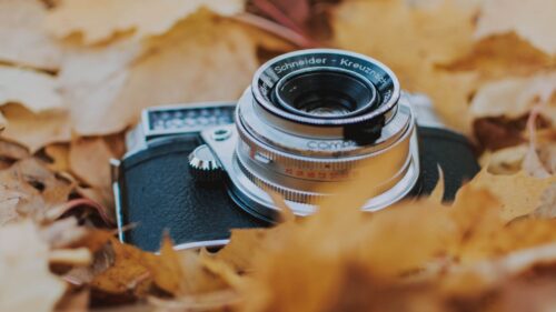 Camera, Leaves, Foliage Wallpapers Download