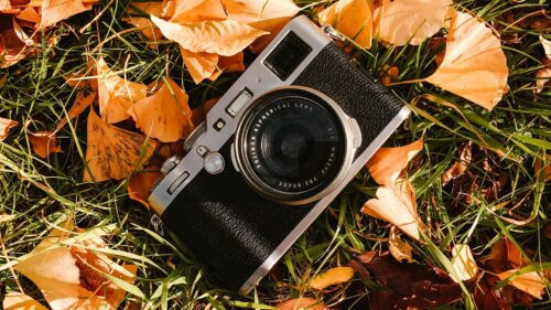 Camera, Leaves, Grass Wallpapers Download