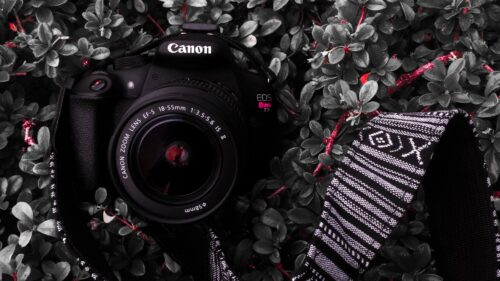 Canon Camera, Lens, Strap Wallpapers Download